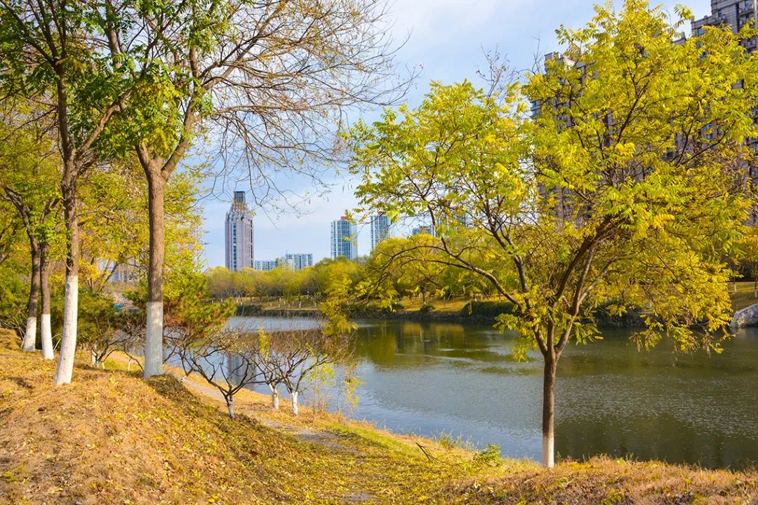 春意盎然北京五大公园,北京区级综合性公园