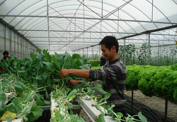 4个创业项目不值得投资,4个未来有发展的行业