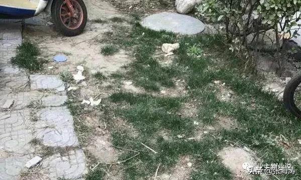 赞！旧貌换新颜，只因小区有了业主大会