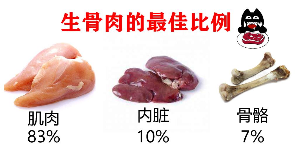 猫咪为什么不能吃骨头,猫为什么要让猫咪吃骨头