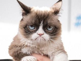 英文表达心情,如何用英文表达心情