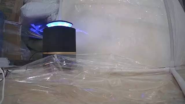 4款家用灭蚊灯测评高效灭蚊灯,灭蚊灯比较