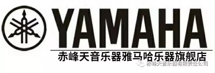 雅马哈钢琴高度多少好,雅马哈钢琴和恺撒堡钢琴哪个更好