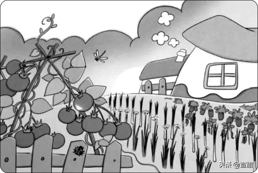 部编版六年级语文上册作文范文,部编版语文下册1-8单元作文