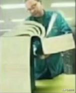 猫咪平替好物推荐,提高猫咪生活质量的几款好物