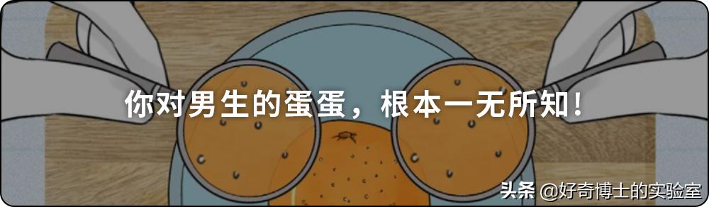 埃及脚跟希腊脚哪个脚型最好看,埃及脚希腊脚罗马脚哪个好