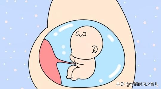 怀孕的危险期和安全期,怀孕期间最危险的事