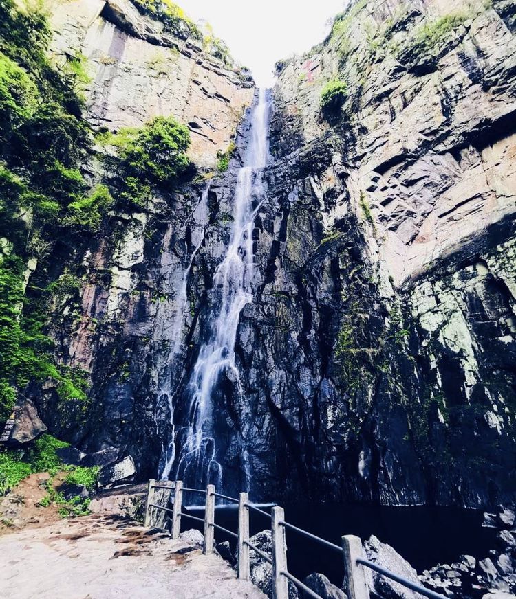 2020年江南100英里越野赛,江南100越野赛选手名单