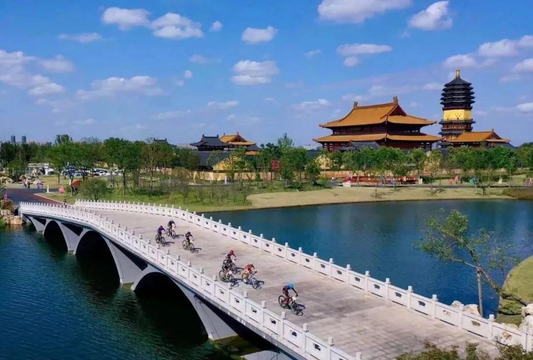 国家网信办处置违法账号,国家网信办回应网络乱象