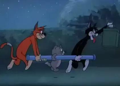 猫和老鼠中的白富美猫，汤姆就没追到过她，因为竞争对手很厉害