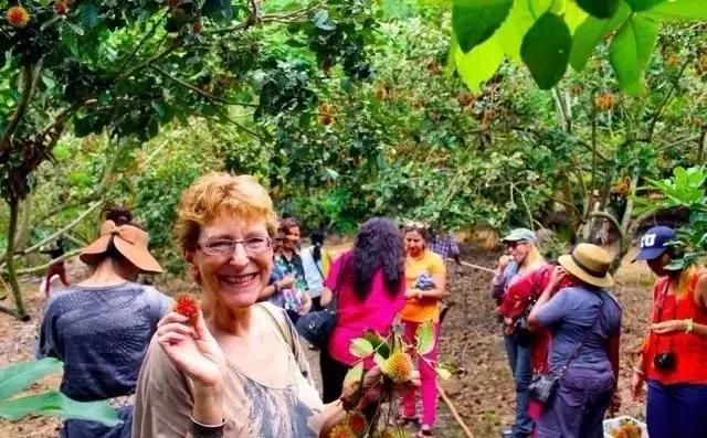 泰国芒果自助,泰国吃喝玩乐攻略榴莲自助餐