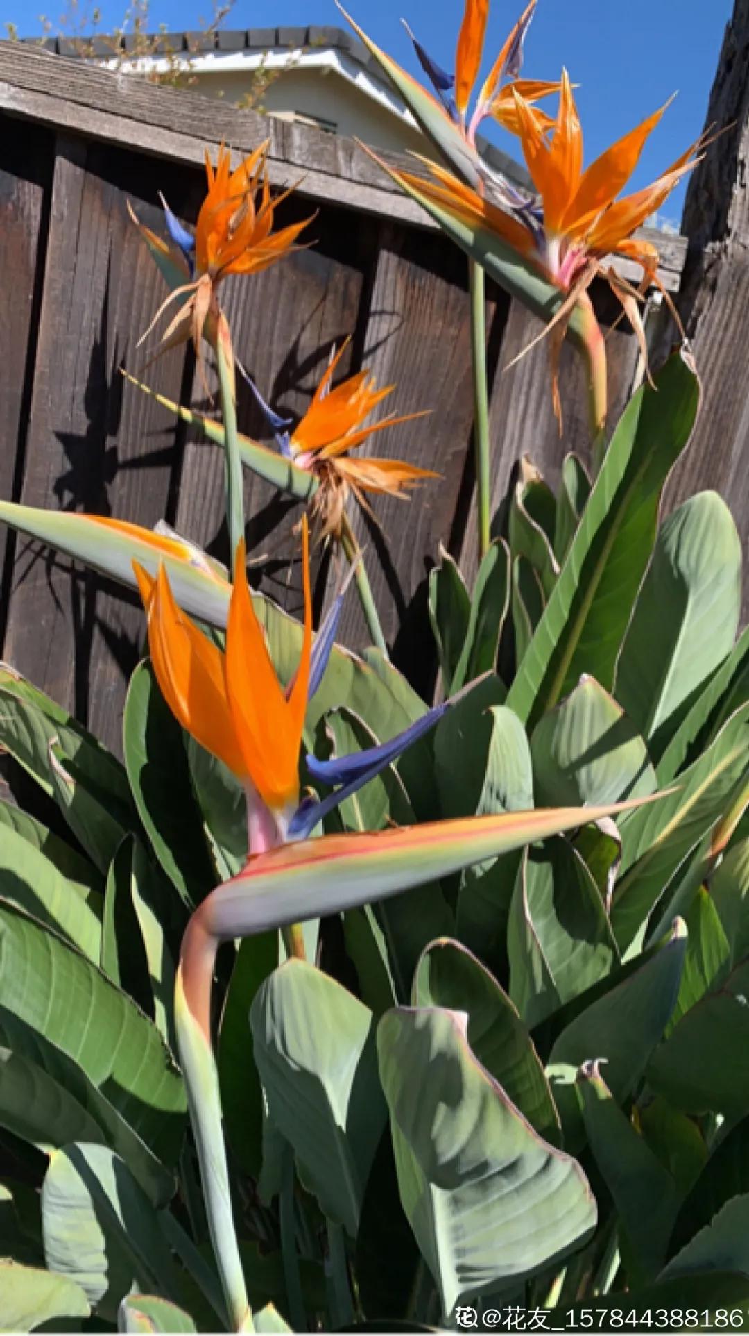 教你如何避开假货买到真品,一张图告诉你怎样分辨假货