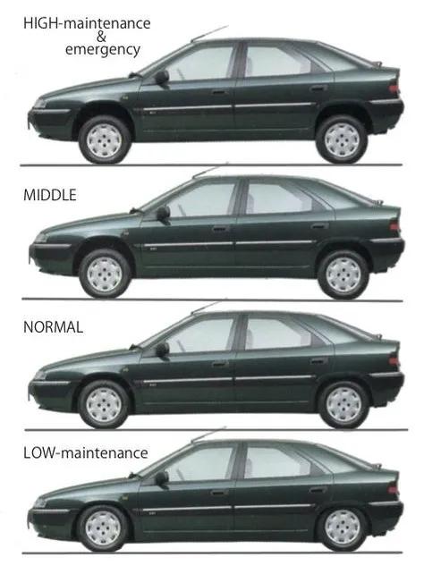 一个“武汉伢”认识的雪铁龙
