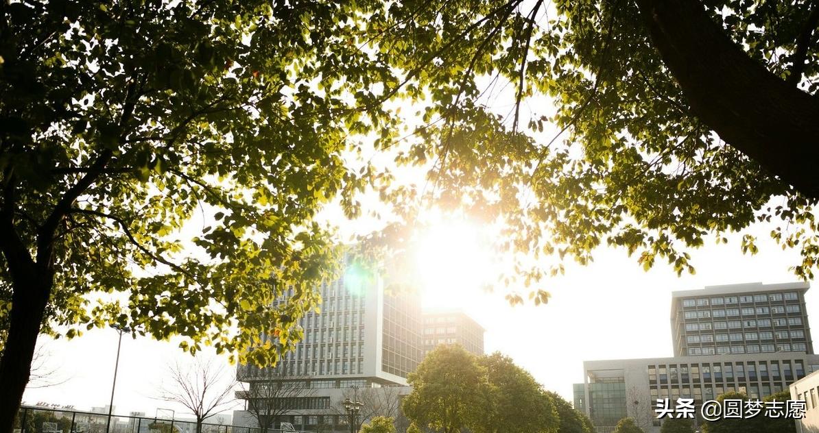 河海大学和北京科技大学哪个好,河海大学是985还是211土木工程