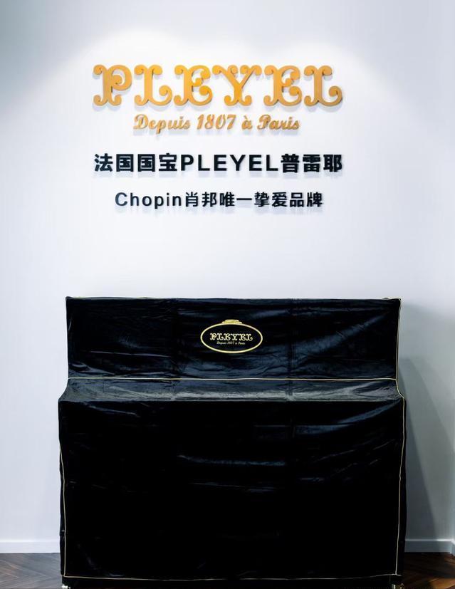 天津钢琴品牌选购攻略,天津买钢琴什么品牌好