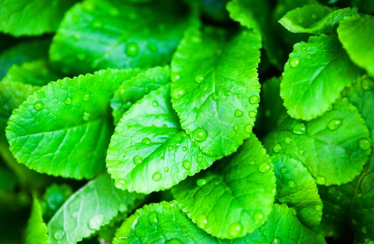 用情至深的人也容易极端,用情太深的人都容易心碎