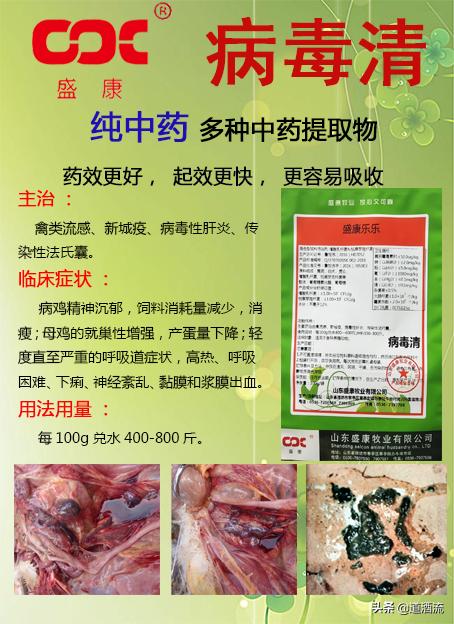 鸭子得软脚病怎么治疗,鸭子脚瘸得什么病