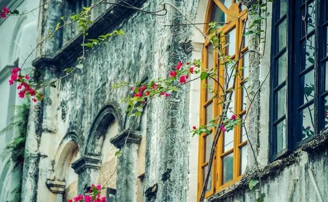 比鼓浪屿大12倍，比三亚安静10倍！这小岛最适合现在去，美轮美奂