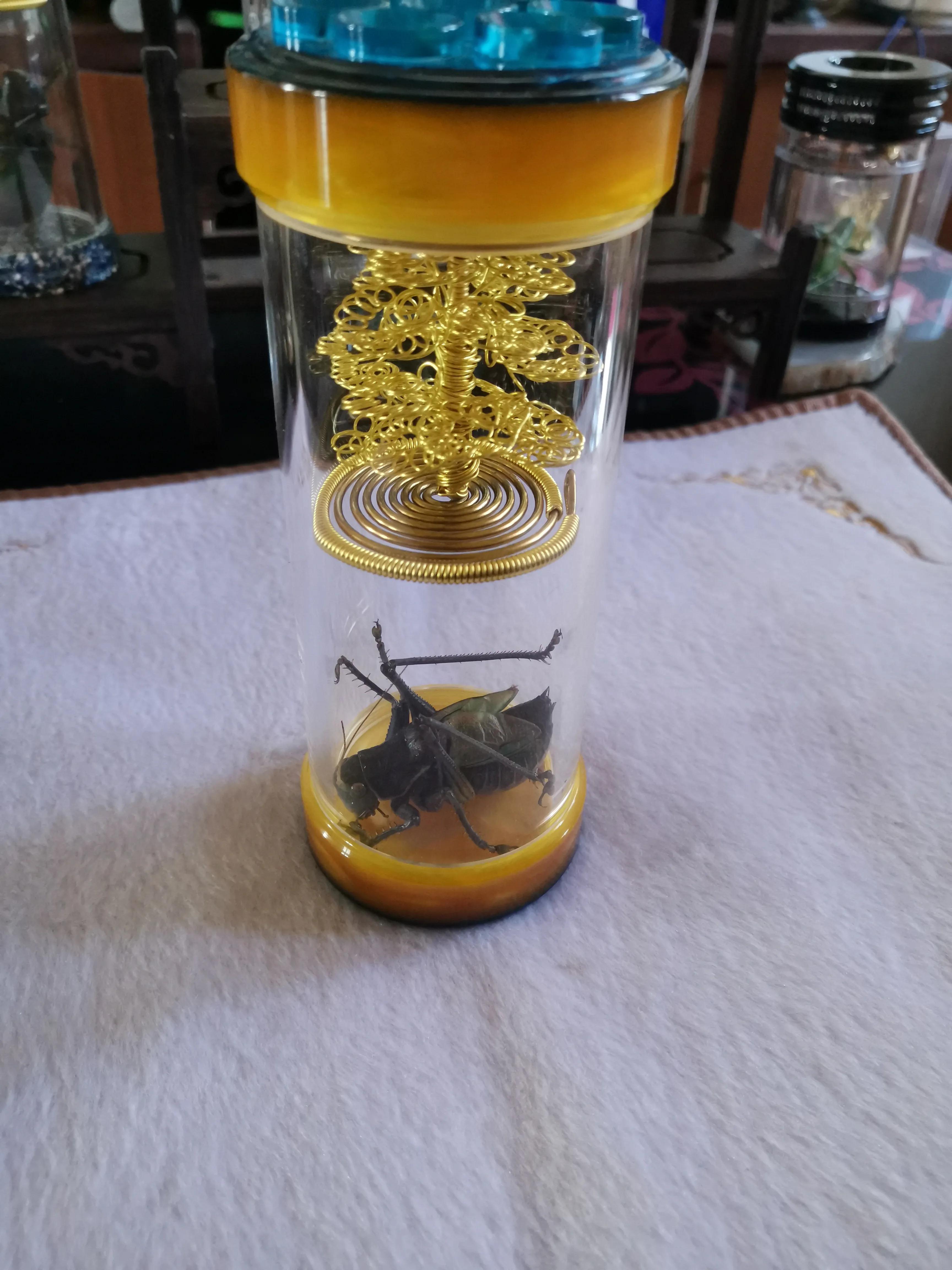 蝈蝈种类,蝈蝈虫具