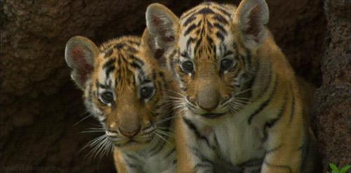 京津冀95元景点大全,京津冀99元景区