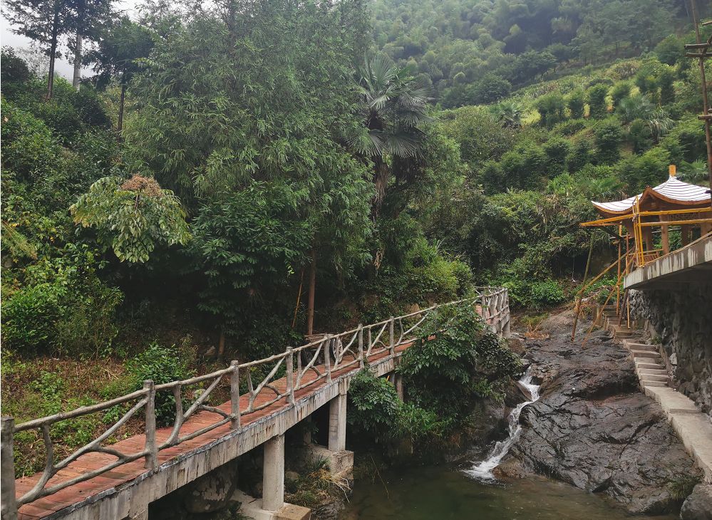 一场烟雨，把人困进仙境！藏在金华南山的这个小村，不求爆红，只求安静邂逅！