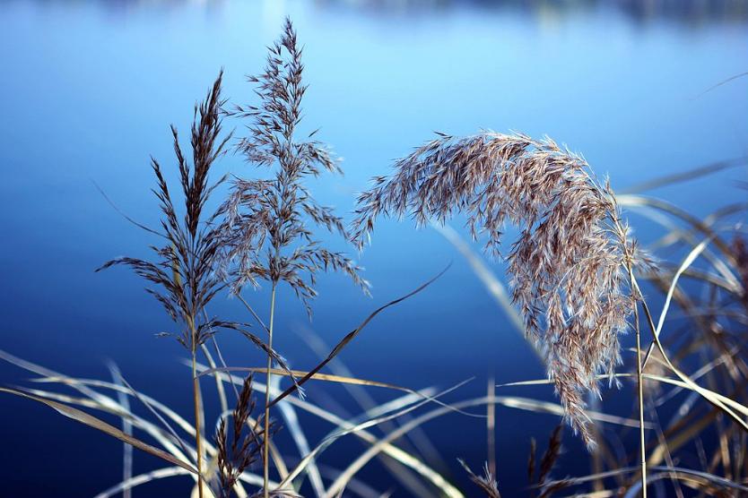 初冬最美诗词赏析,描写初冬的诗词大全