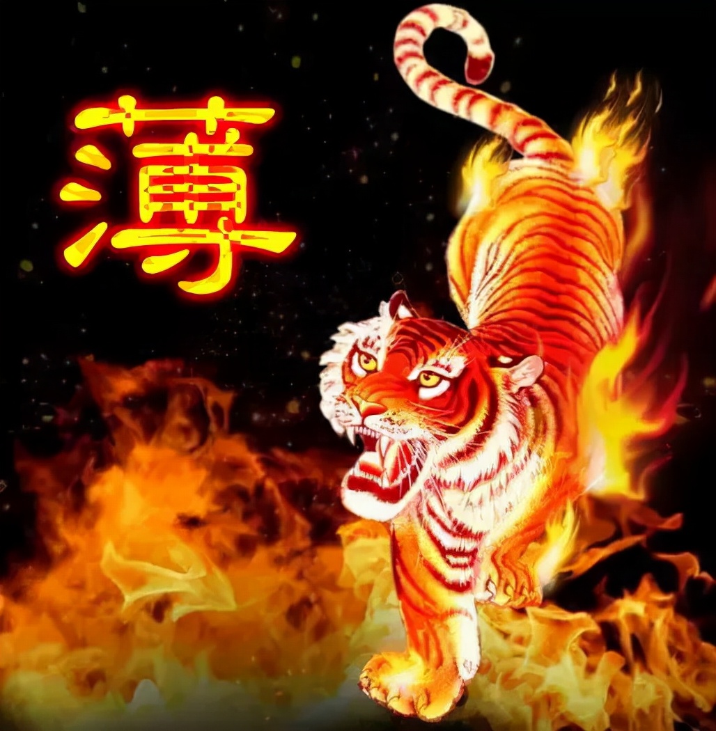 珠宝翡翠艺术字体,翡翠字体图片欣赏