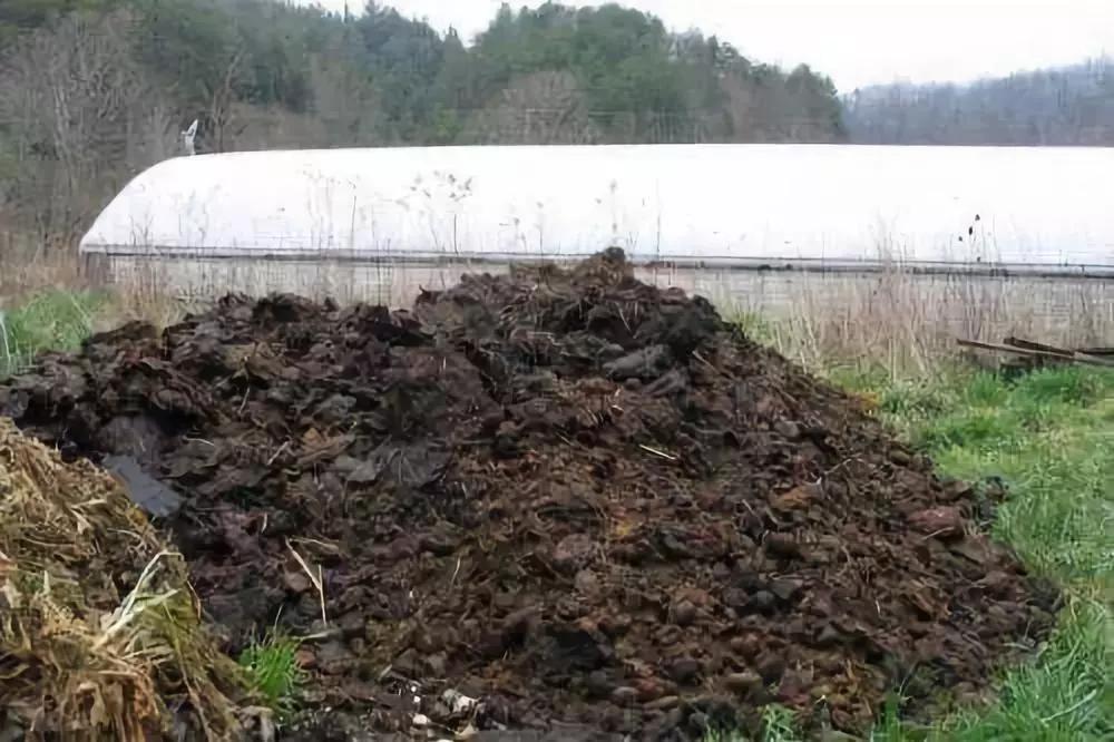 土壤太咸作物遭殃盐渍化咋解决,土壤盐渍化怎么办