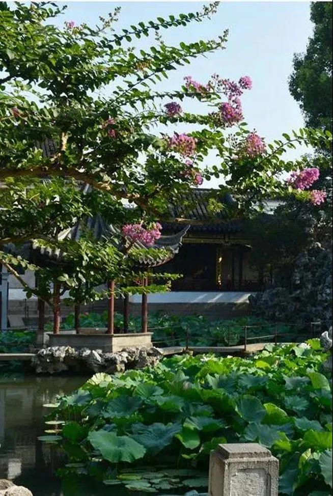 一花一木万般皆有情,一花一木皆是景歌名