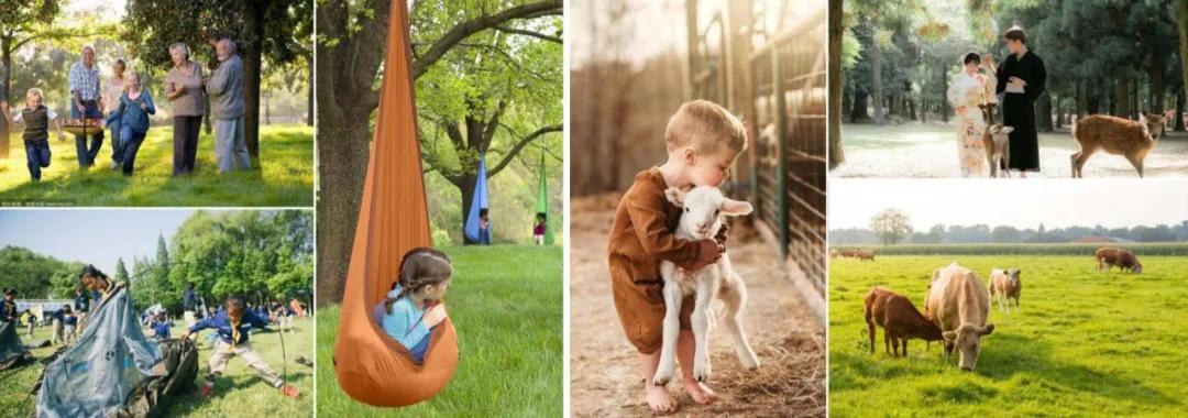 赤城大海坨山风景区,赤城县大海陀自然保护区