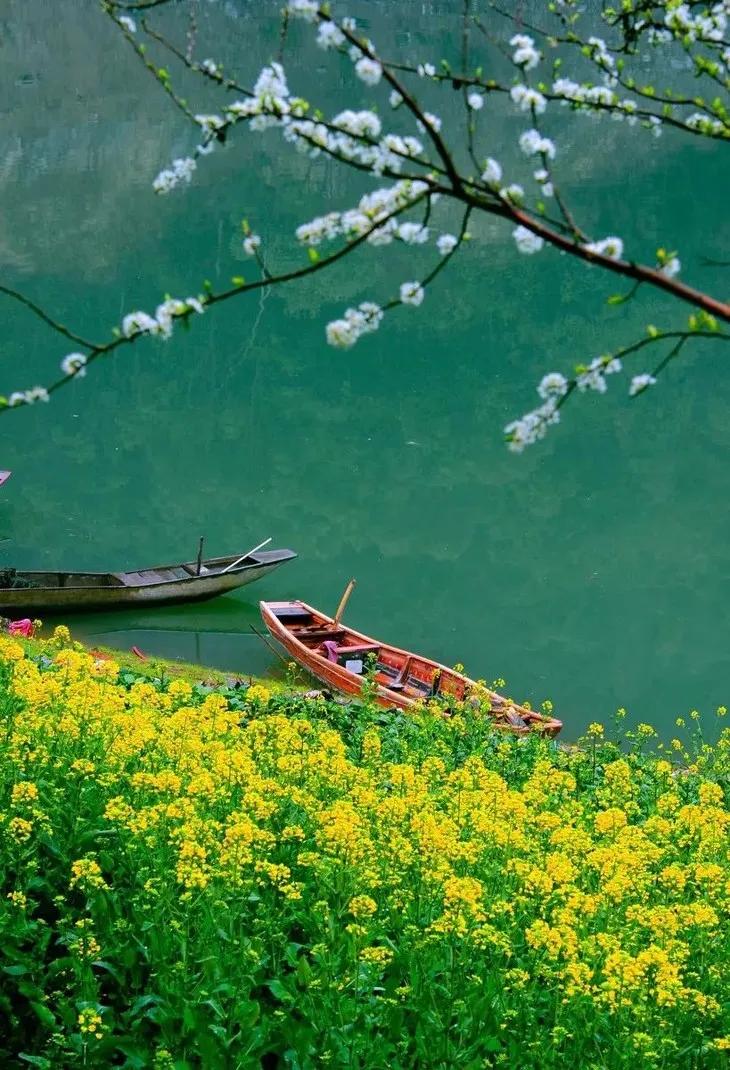 关于春天的古诗词美篇,让人惊艳的春天古诗词