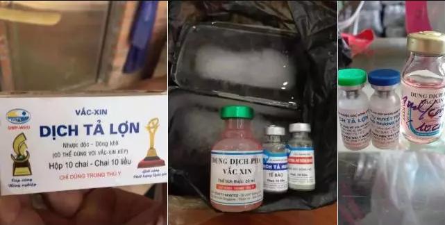 “非瘟疫苗”假货泛滥，养猪人深受其害，已有猪场被清场