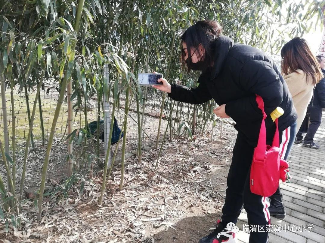 崇小冬日绽新颜,素质教育谱新篇。—记临渭区崇凝中心小学参加全区素质教育大评比