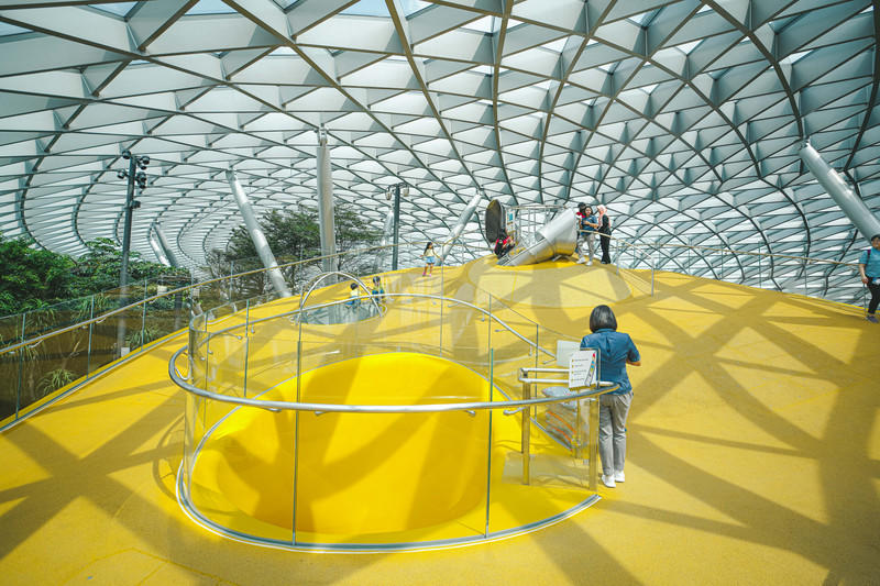 一人一猫环游,一人一猫旅行