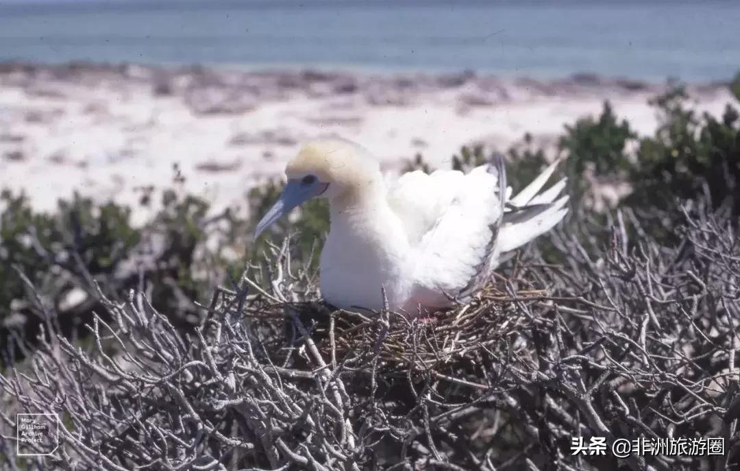适合夏天去的免签海岛,4个免签的绝美海岛