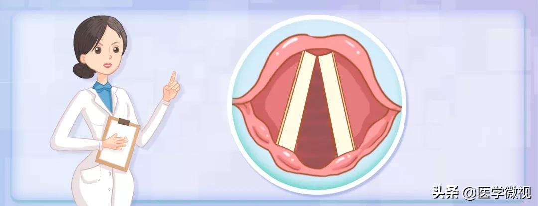 声音嘶哑是声带出了问题吗,声音嘶哑好几个月了怎么治