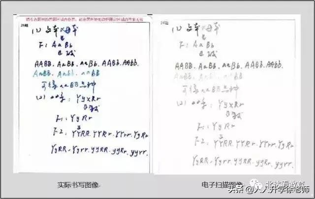 电脑阅卷答题注意事项高考2019,高考电脑阅卷六个问题