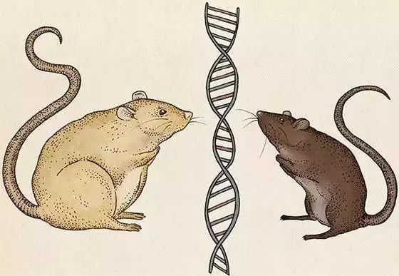谈谈生物进化的认识,有关生物进化的知识