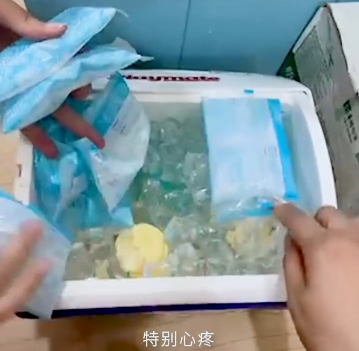 谢娜是母乳喂养吗,谢娜章子怡冰箱