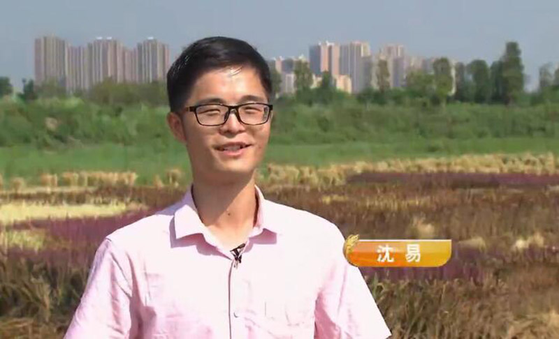 90后放弃城市打工回农村种果园,90后放弃百万收入