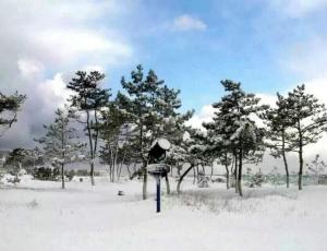 山东威海房价,山东省威海市概况介绍