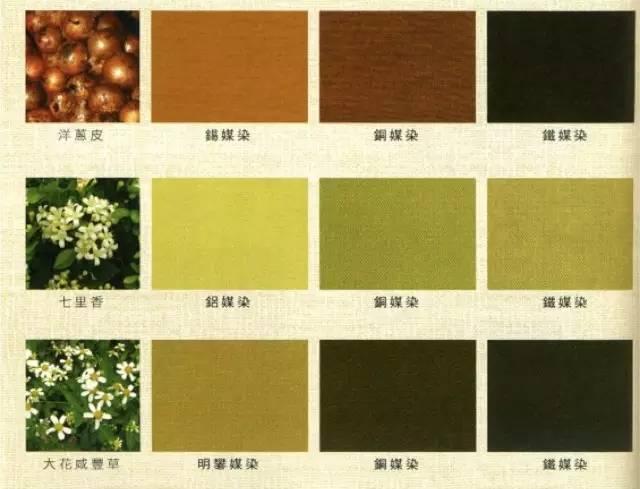 草木扎染方式,草木染简单做法