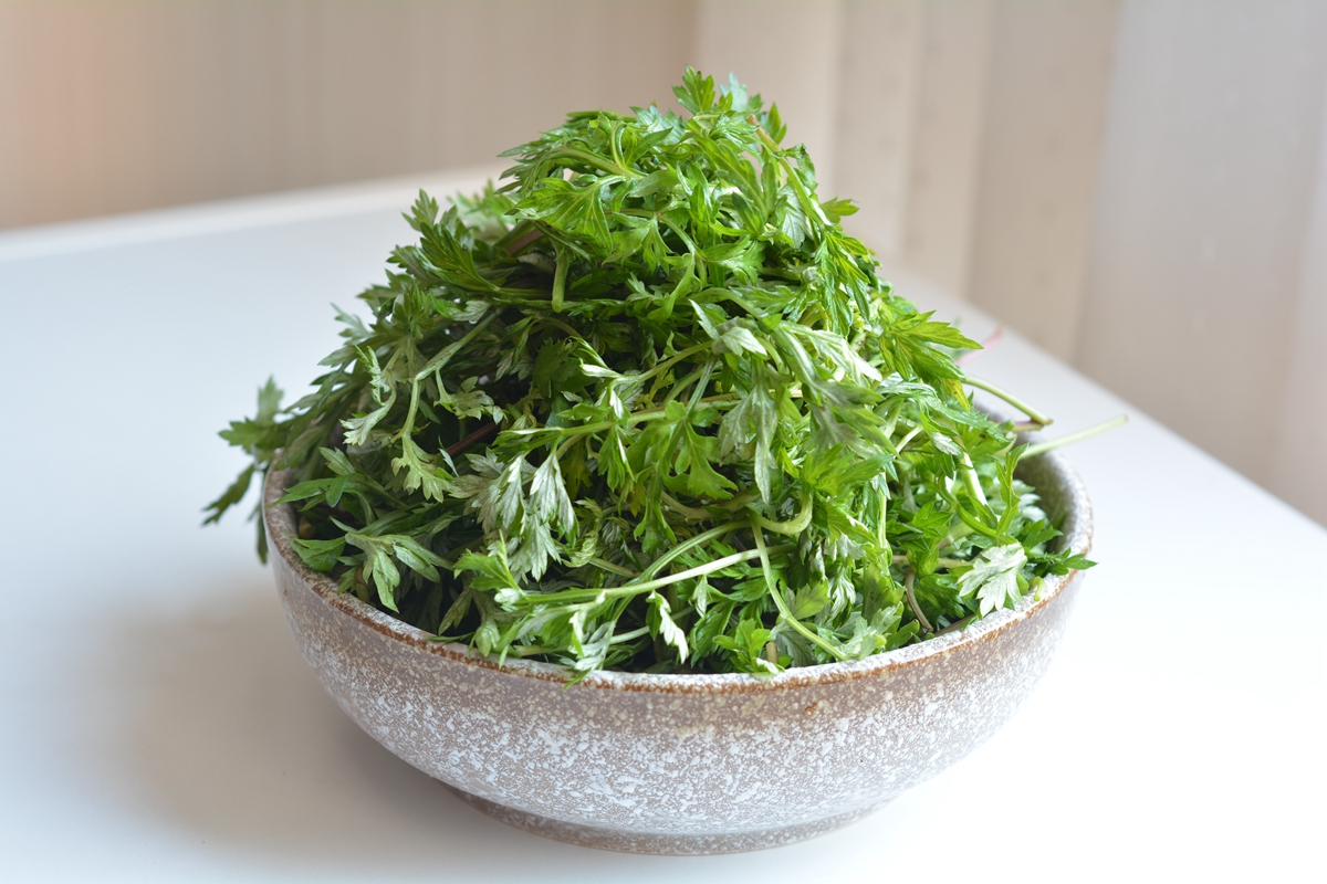 四月野菜做什么好吃,四月野菜的做法