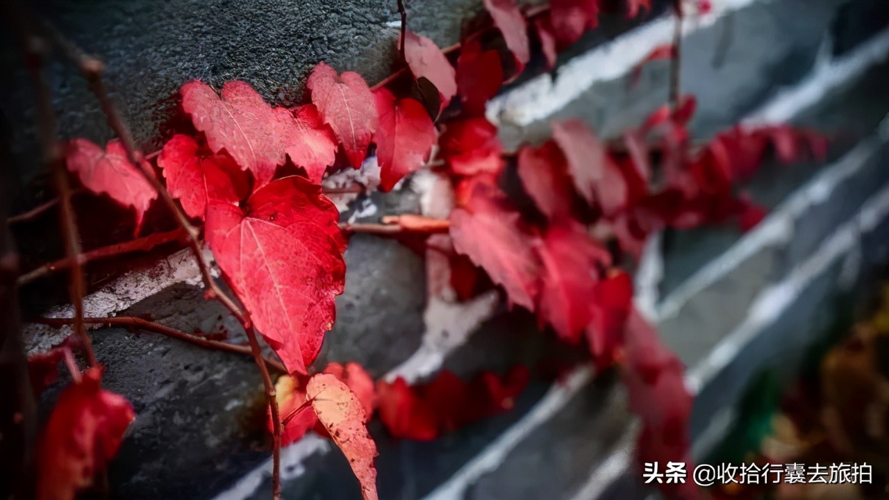 摄影师为什么都用长焦,摄影师为什么喜欢35mm焦段