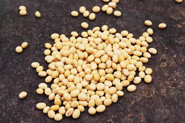 该如何选水稻、玉米、小麦、大豆种子，看这里！