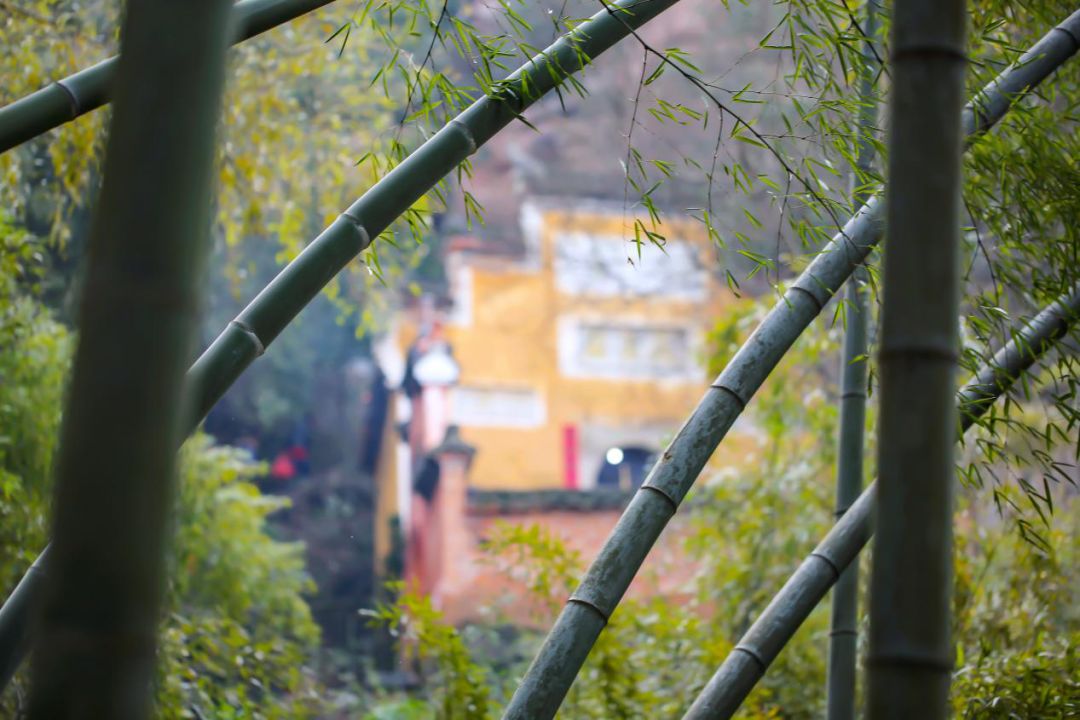 金华泡温泉推荐,金华旅游温泉