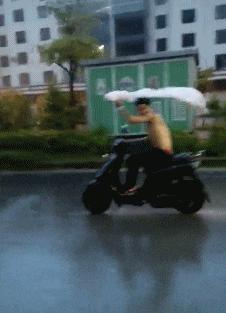 这两位大哥真牛，不知这树还能让他们爽多久