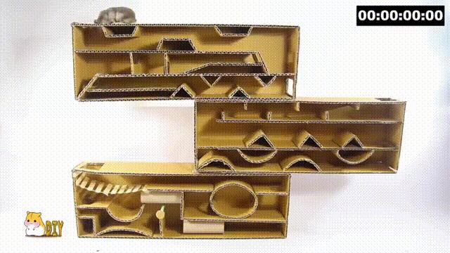 2亿*放播**量的“仓鼠走迷宫”，成了YouTube上的财富密码