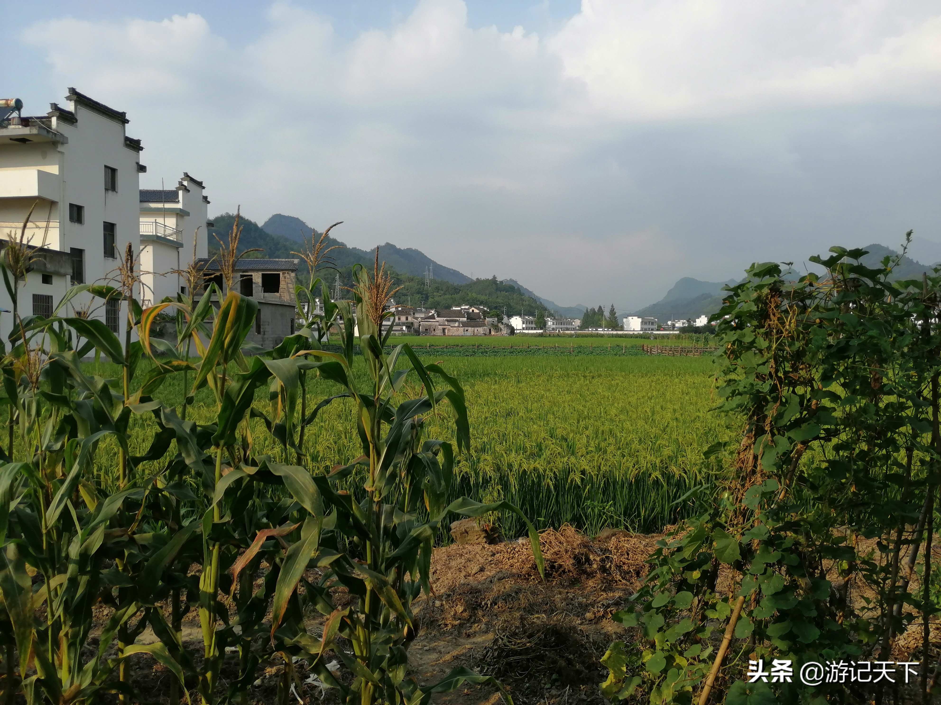 龙川新龙川,龙川东至龙川西