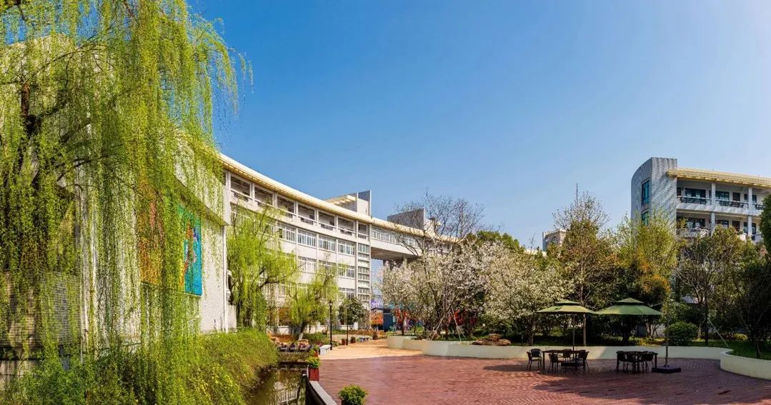 杭二中一段上线率,杭州高中一段上线率